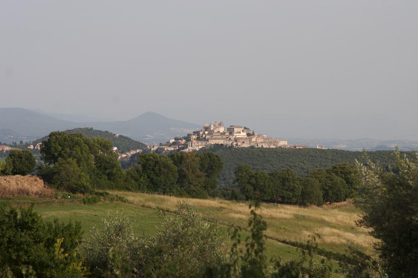 Agriturismo Collepina Amelia Exterior foto