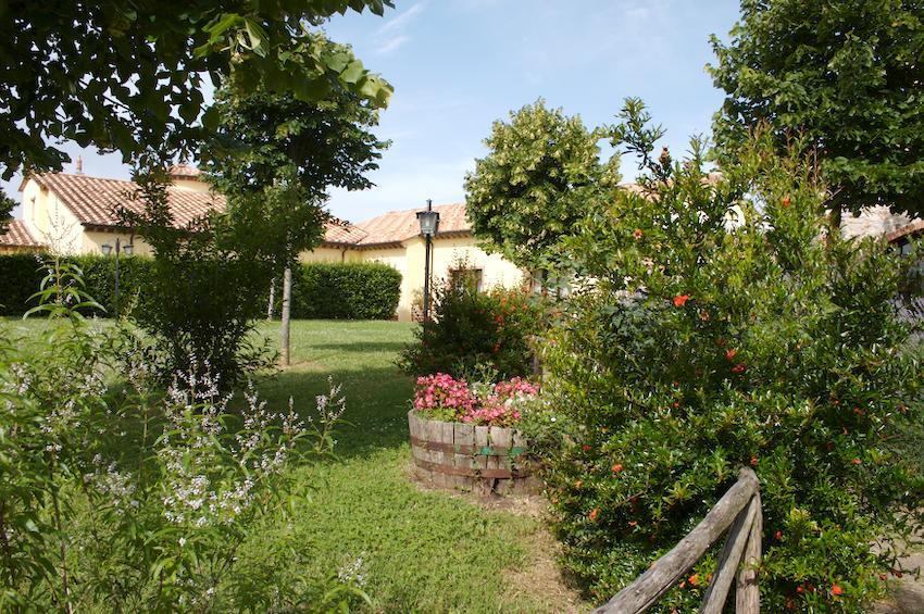Agriturismo Collepina Amelia Exterior foto