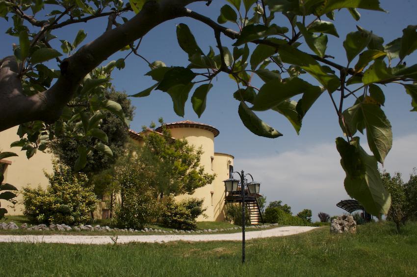 Agriturismo Collepina Amelia Exterior foto